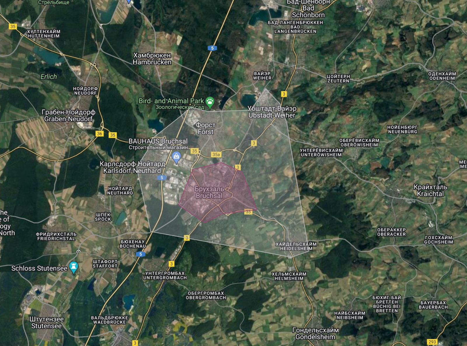 WhatsApp Image 2026 03 10 at 11.25.42 (1)