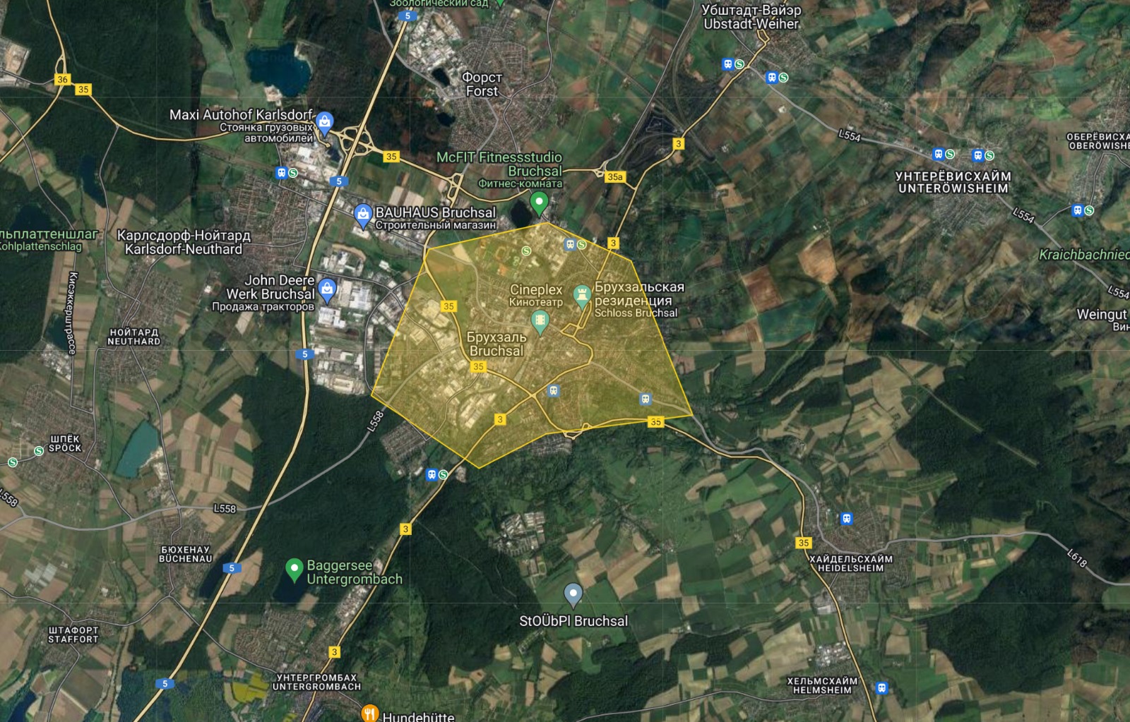 WhatsApp Image 2026 03 10 at 11.25.42